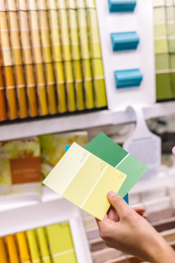 Someone holding paint samples