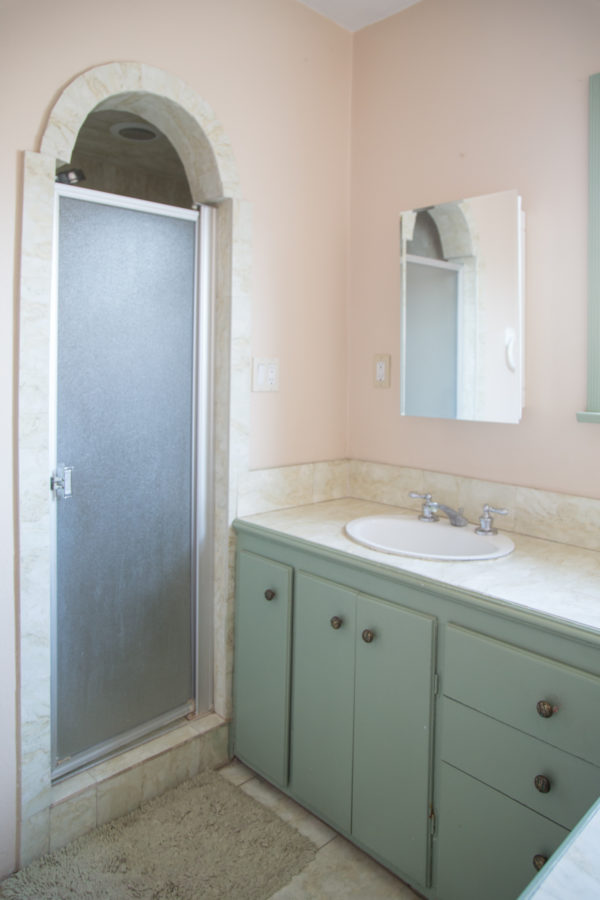 kids bathroom renovation before