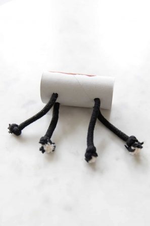 Toilet paper roll with rope