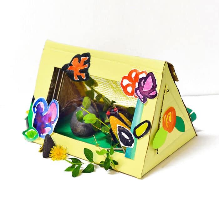 Bug Observation box for kids