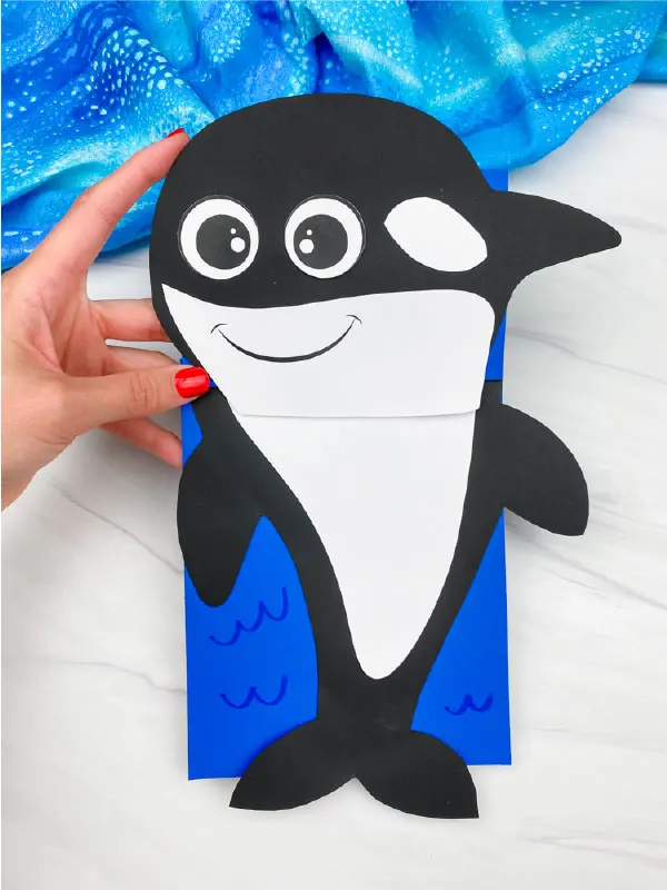 Killer Whale Under The Sea Craft