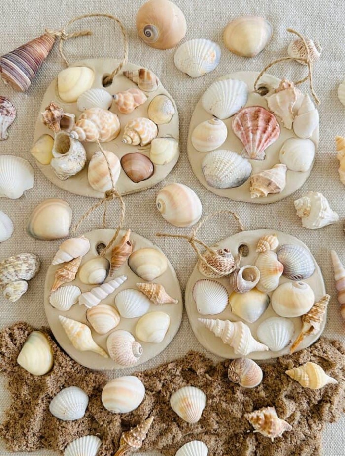 Clay seashell craft