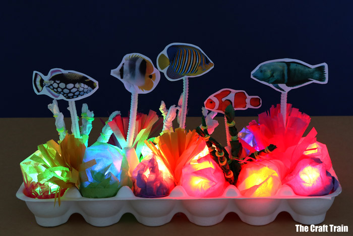 Light up reef craft.