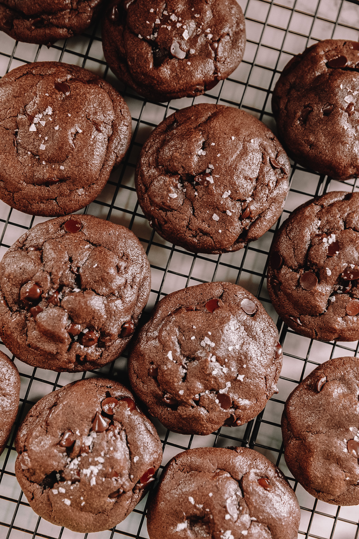 https://studiodiy.com/wp-content/uploads/2020/10/Double-Chocolate-Chip-Cookies-Milkjar.jpg