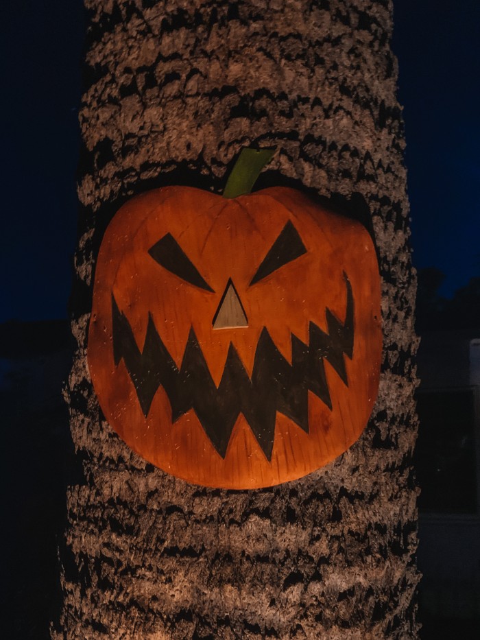 Nightmare Before Christmas Halloween Town Door on a tree