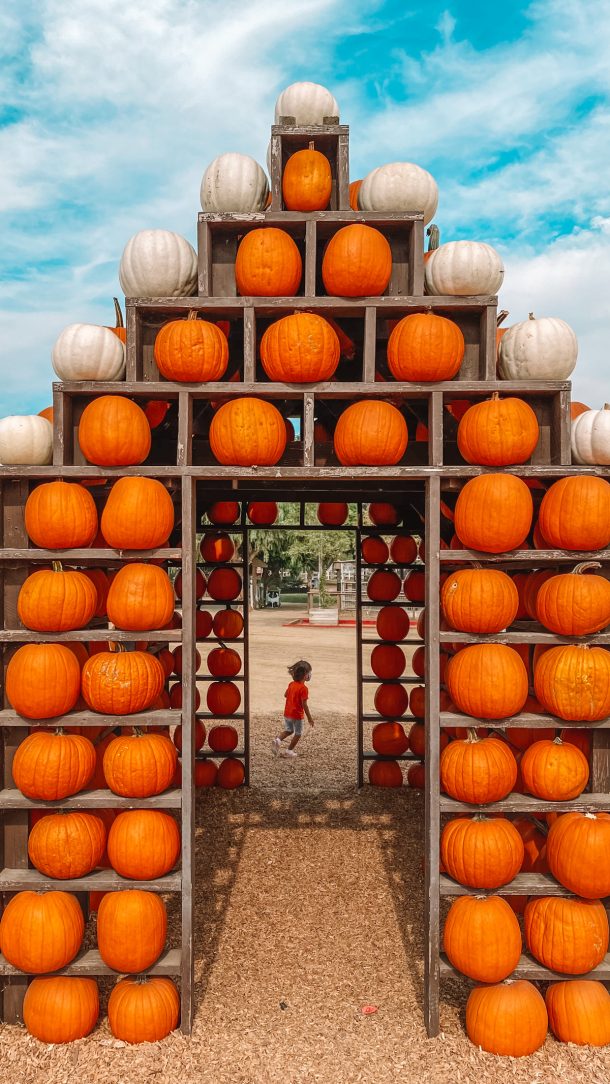 Happy Weekend! (+ Best Halloween Decorations In Los Angeles) - Studio DIY