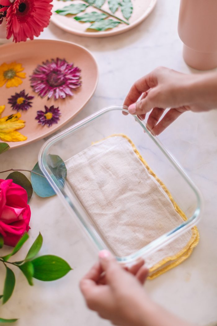 Flattening Flowers for Pressing with Heavy Dish