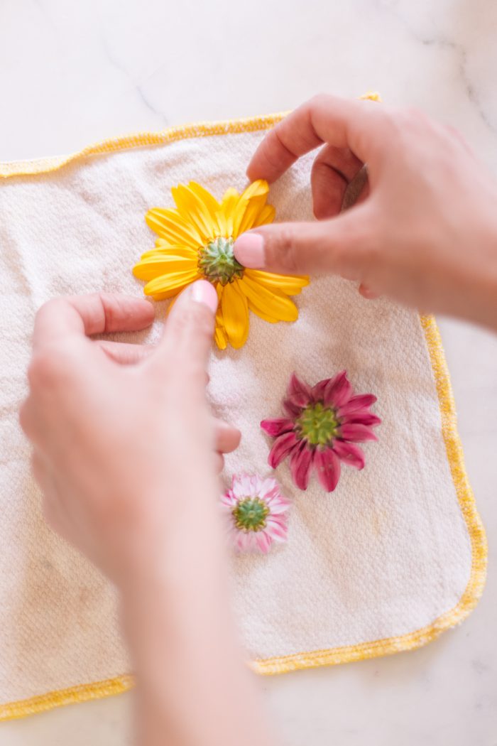 How to Press Flowers Using a Microwave Flower Press - Run To Radiance