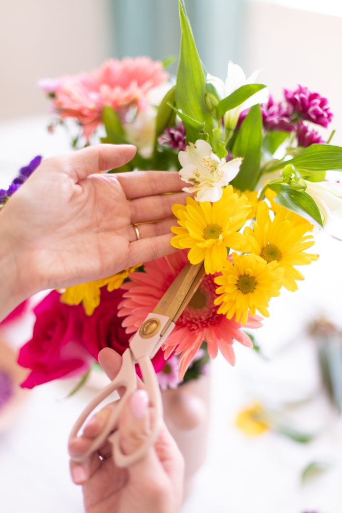 Pressed Flower Collage (with DIY microwave flower press!) – KAYLA AND THE  SATELLITE