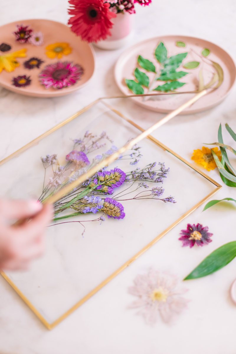 How To Press Flowers in The Microwave - Studio DIY