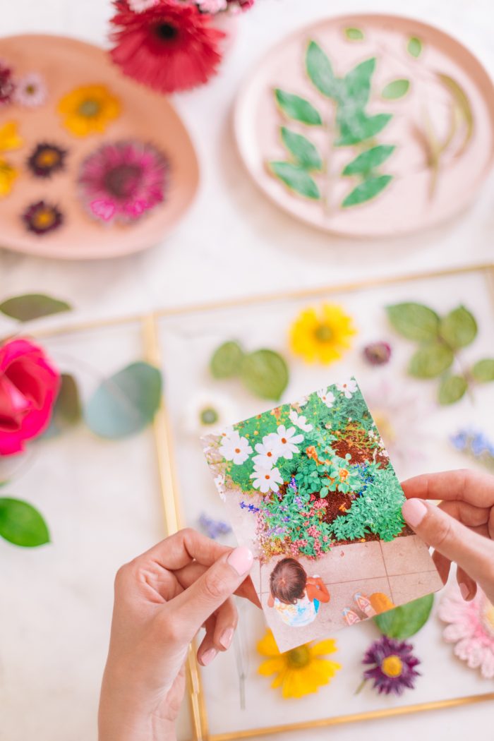 How to Make Pressed Flower Coasters 