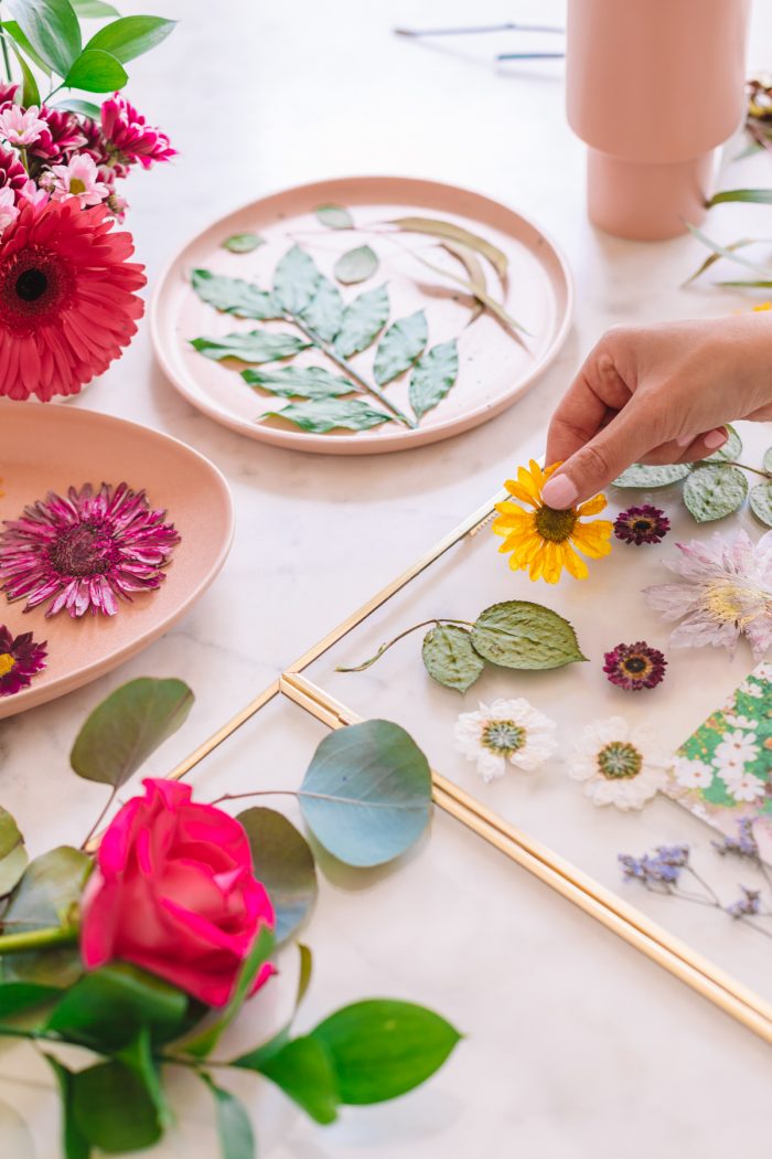 Flowers on a table about to be pressed