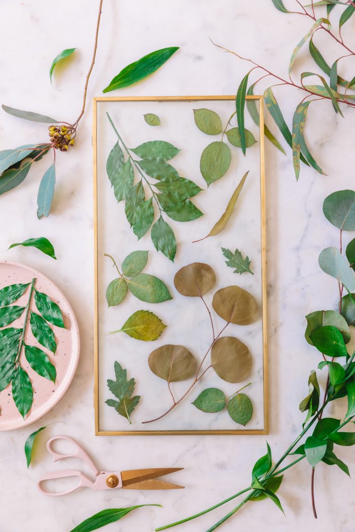 DIY Botanical Print Tutorial: How to Press Flowers