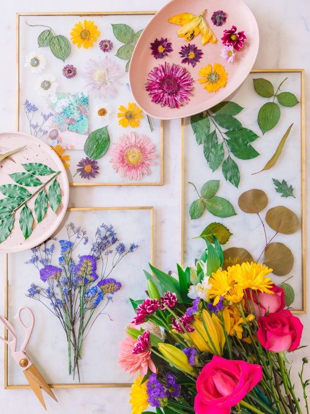 How To Press Flowers In The Microwave Studio DIY