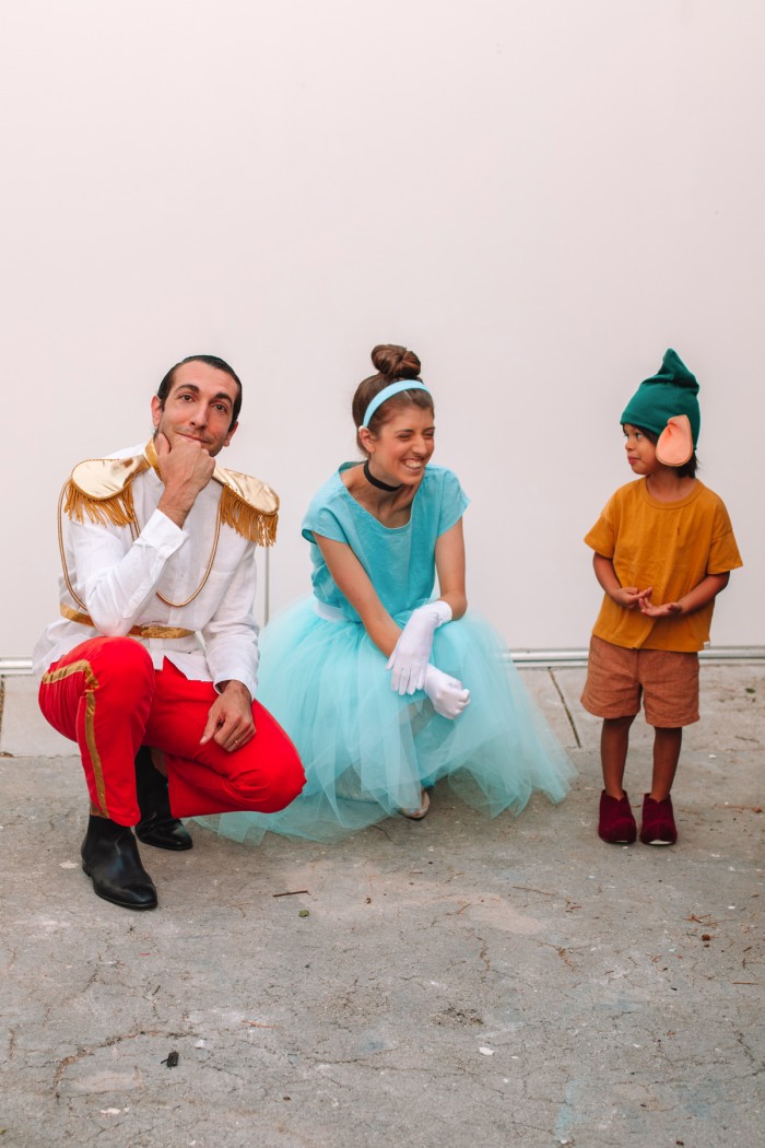 Family in Cinderella, Prince Charming and Gus Gus Halloween Costumes