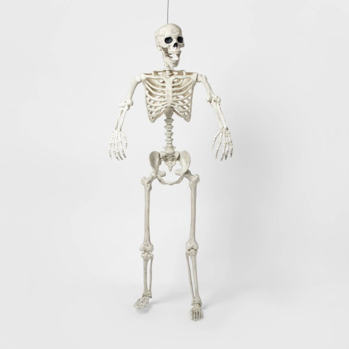 Five Foot Skeleton