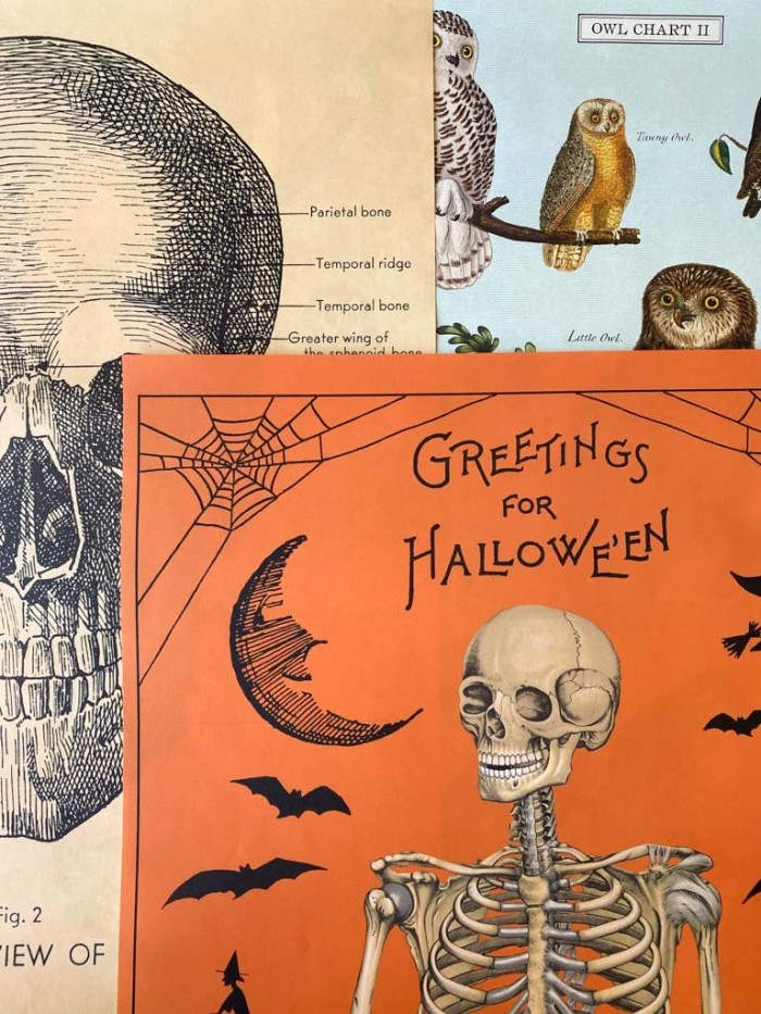 Halloween Posters