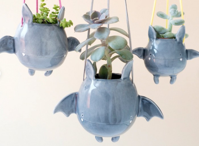 hanging bat planters with succulents inside on a white background