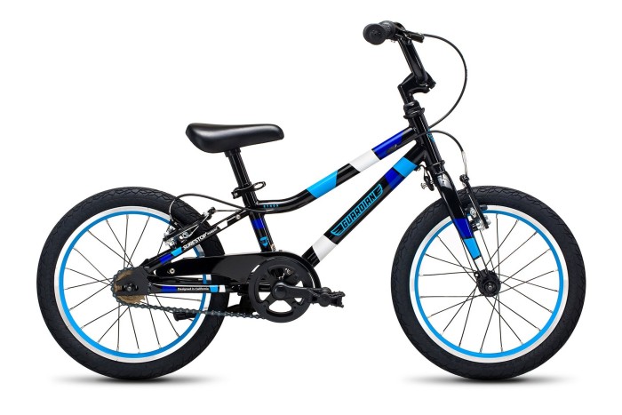 Blue Guardian Kids Bike