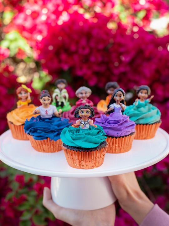 Encanto Character Cupcakes