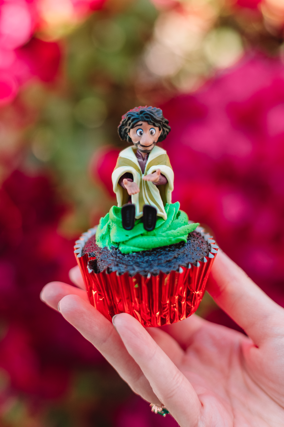 Easy Encanto Cupcakes Studio DIY