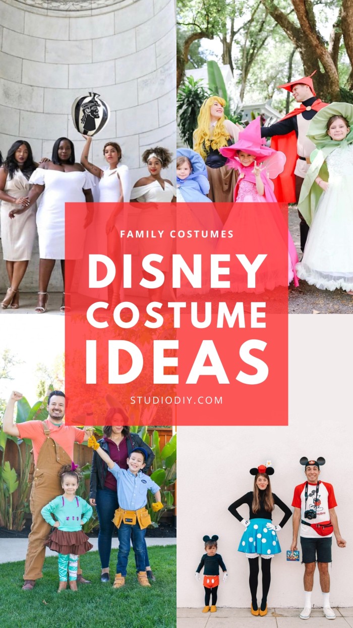collage of family disney costumes
