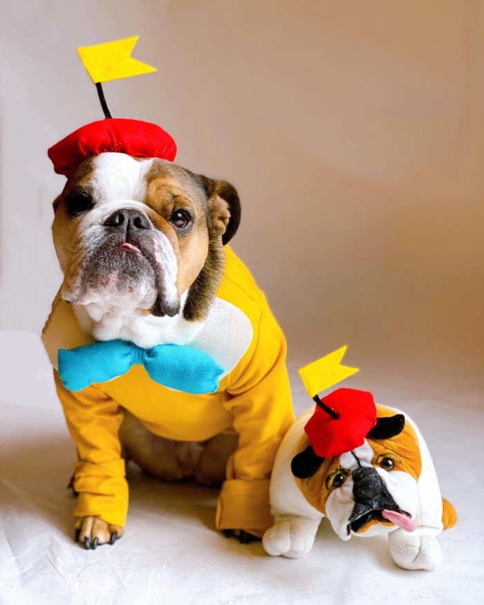 Tweedle Dee Tweedle Dum Dog Disney Costume