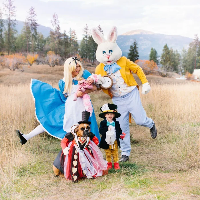 Alice and Wonderland Dog Costume Idea
