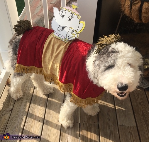 dog dressed as footstool from beauty and the beast