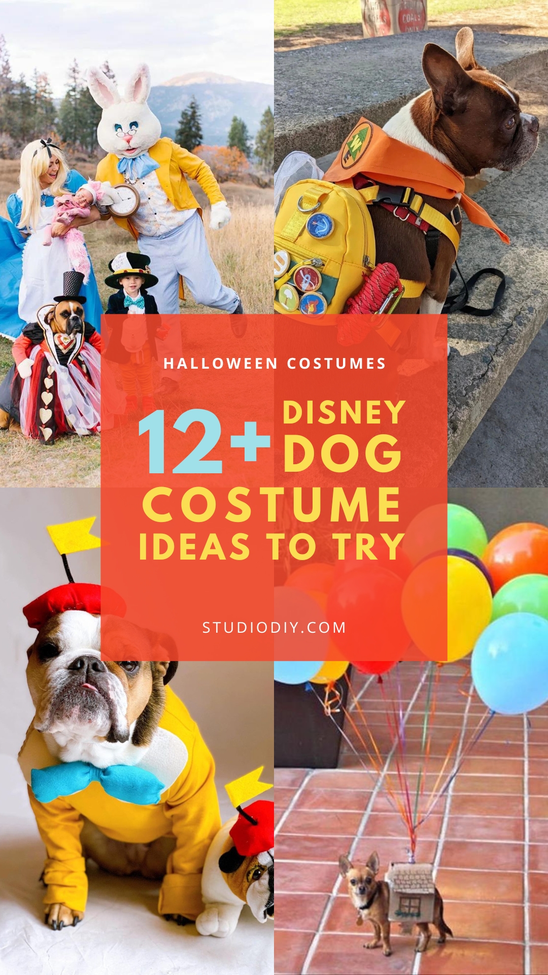 Disney Dog Costume Ideas - Studio DIY