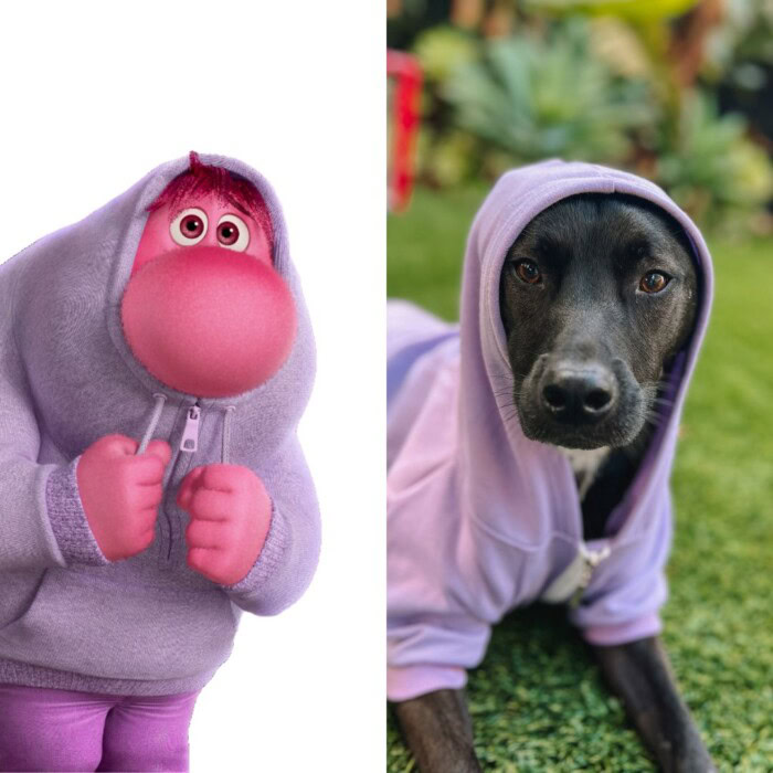 side by side of embarrassment from Inside Out and a dog