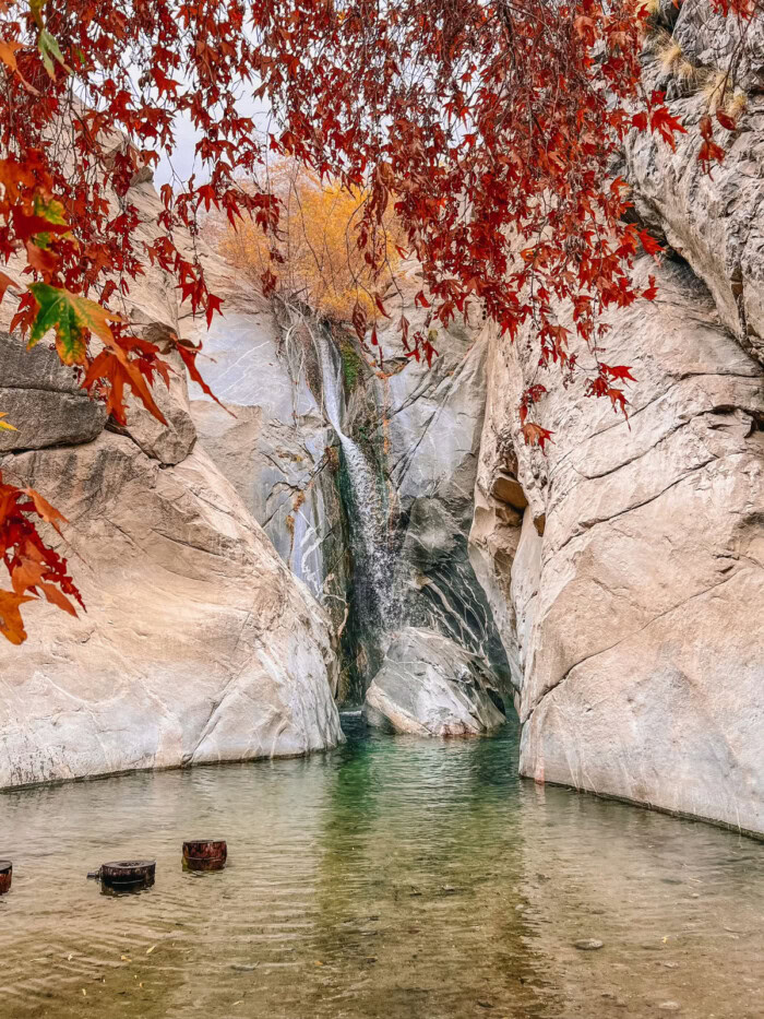 Tahquitz Canyon